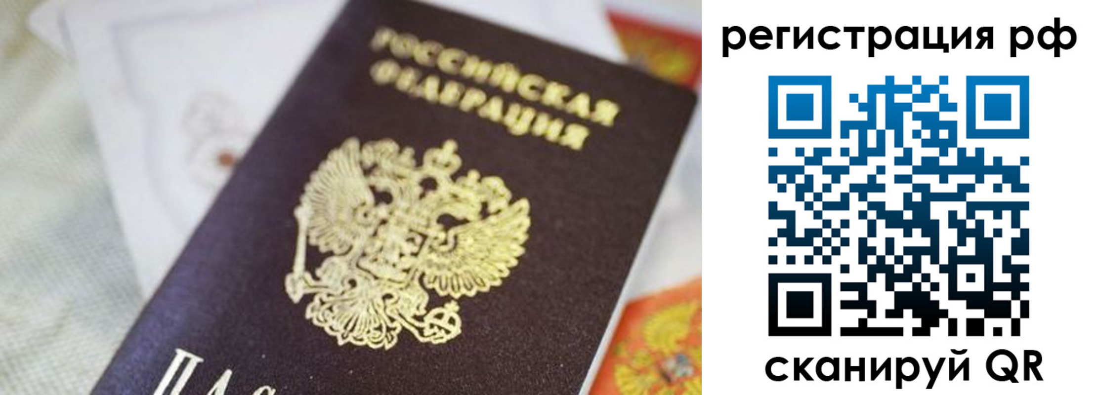 прописка гарантия в Палласовке